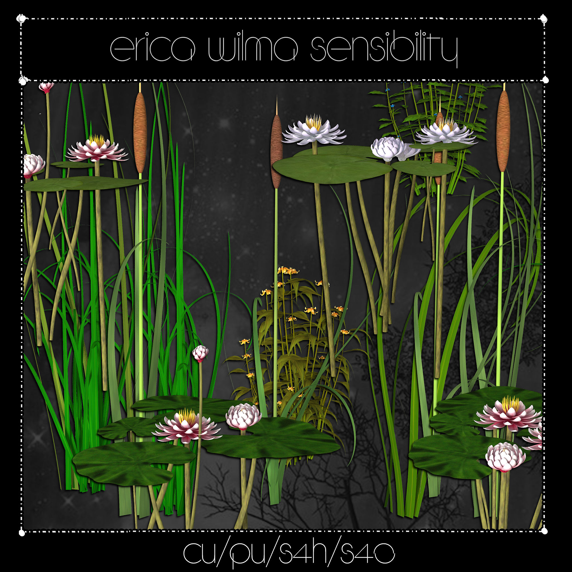 EW Pond Live Plants - Click Image to Close